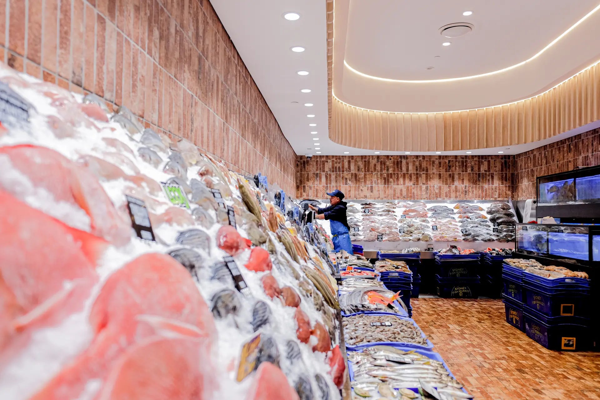 Trend MIDILED XDM10 LED Downlights 3000K 4000K Black / White / Silver 10W 180-265V IP20 - XDM103, XDM104 - Trend Lighting