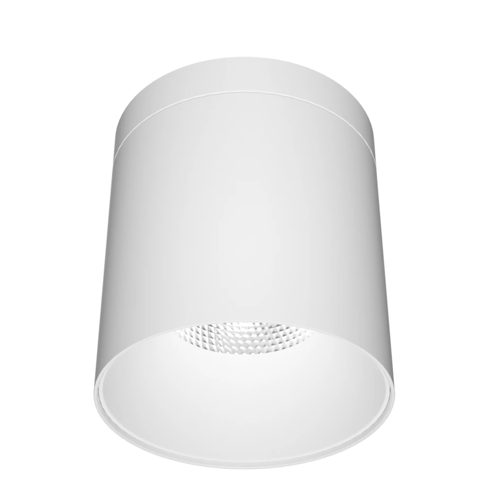 SAL AIRLEE LED Downlights Tri- White/ Black 15/40W 240V IP65- S9605TC