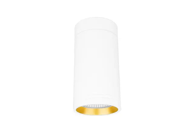 Surface XSR2515 IP65 15W LED Downlights Trend Lighting Eco Smart