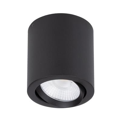 Domus Neo-20 Round Surface Mount Tiltable Dimmable LED Downlight Tri - Black 20W 240V IP20 - 21296-Domus Lighting