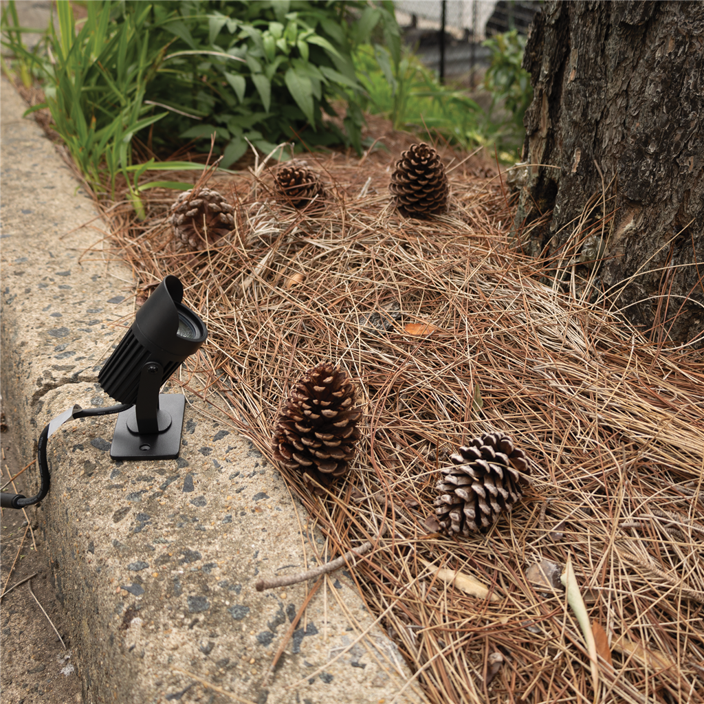 Domus TREE BRACKET TO SUIT ZOOM-PRO-5 SERIES Accessories Black - 25713 - Domus Lighting