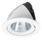 Brilliant GRIFFIN - Snorkel Shop LED Downlight Tri - White 30W 240V - 20458/05 - Brilliant Lighting