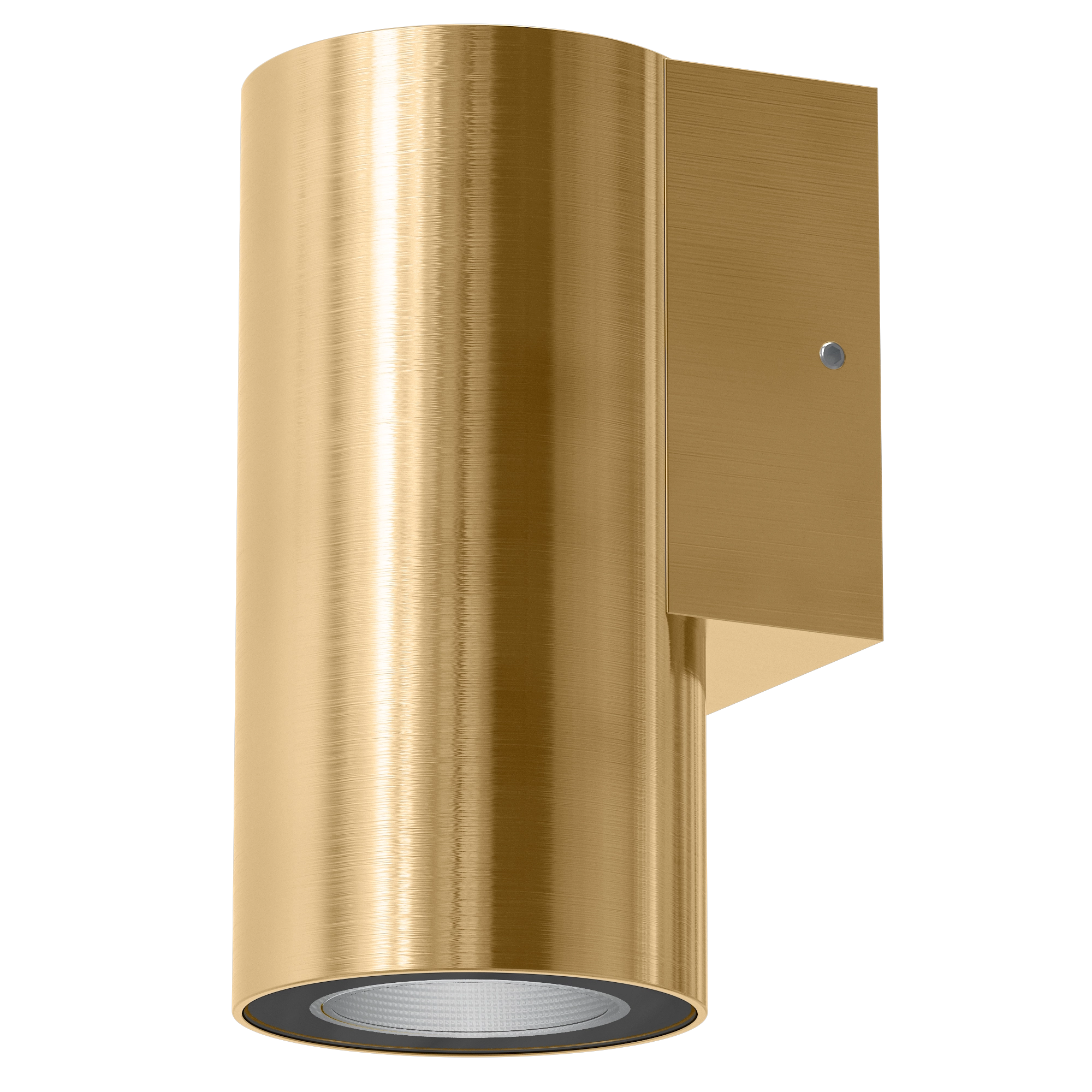 Domus ALIRA-1 Exterior Wall Light 5CCT Black/ White/ Stainless Steel/ Brushed Brass/ Antique Brass 6W 24V/240V IP65- ALIRA-1