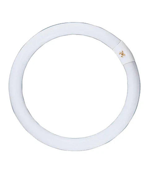 CLA T9 Circular Fluorescent G10Q Lamps and Globes 6400K 32W - CLAFCL32WDL - CLA Lighting