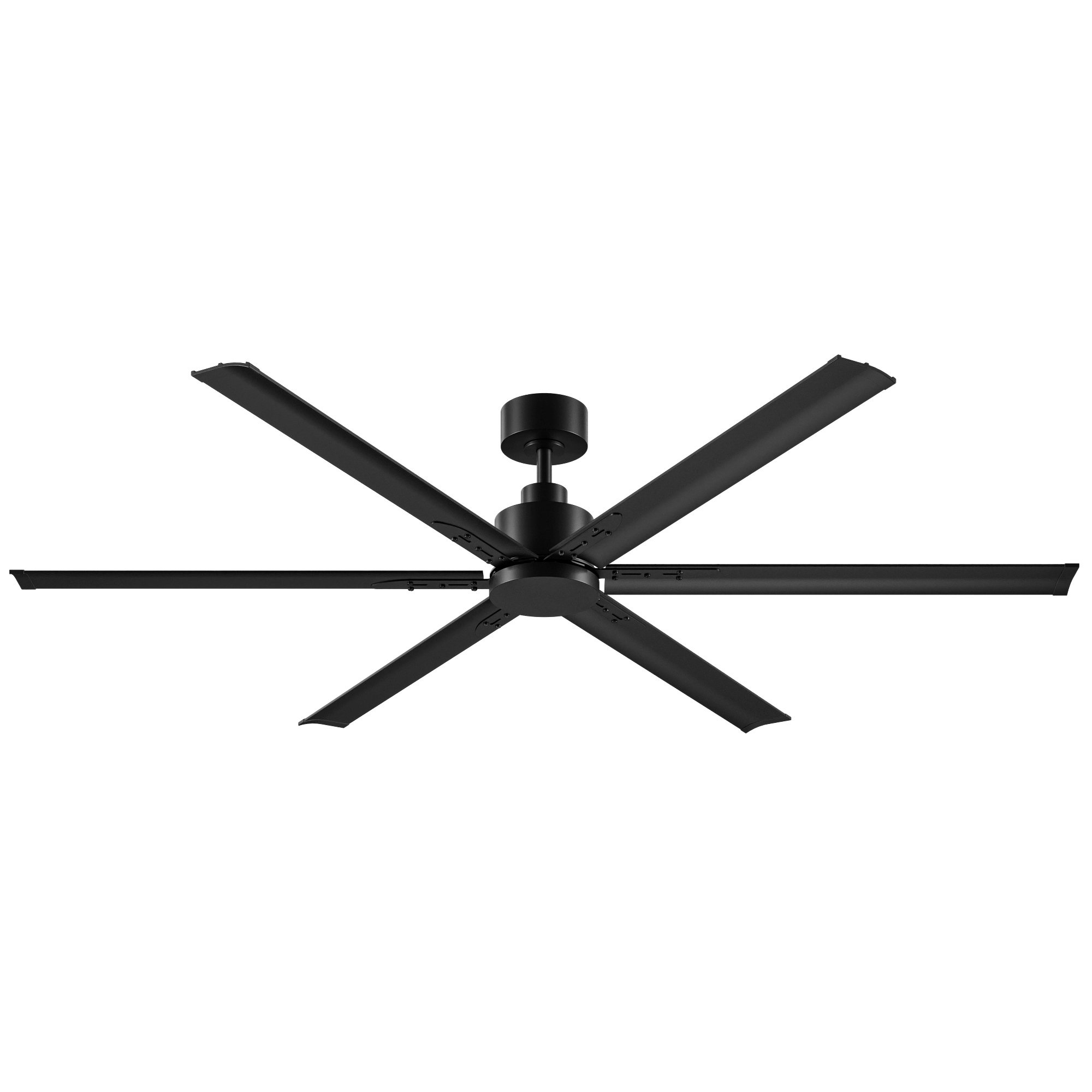 Domus Gale 72