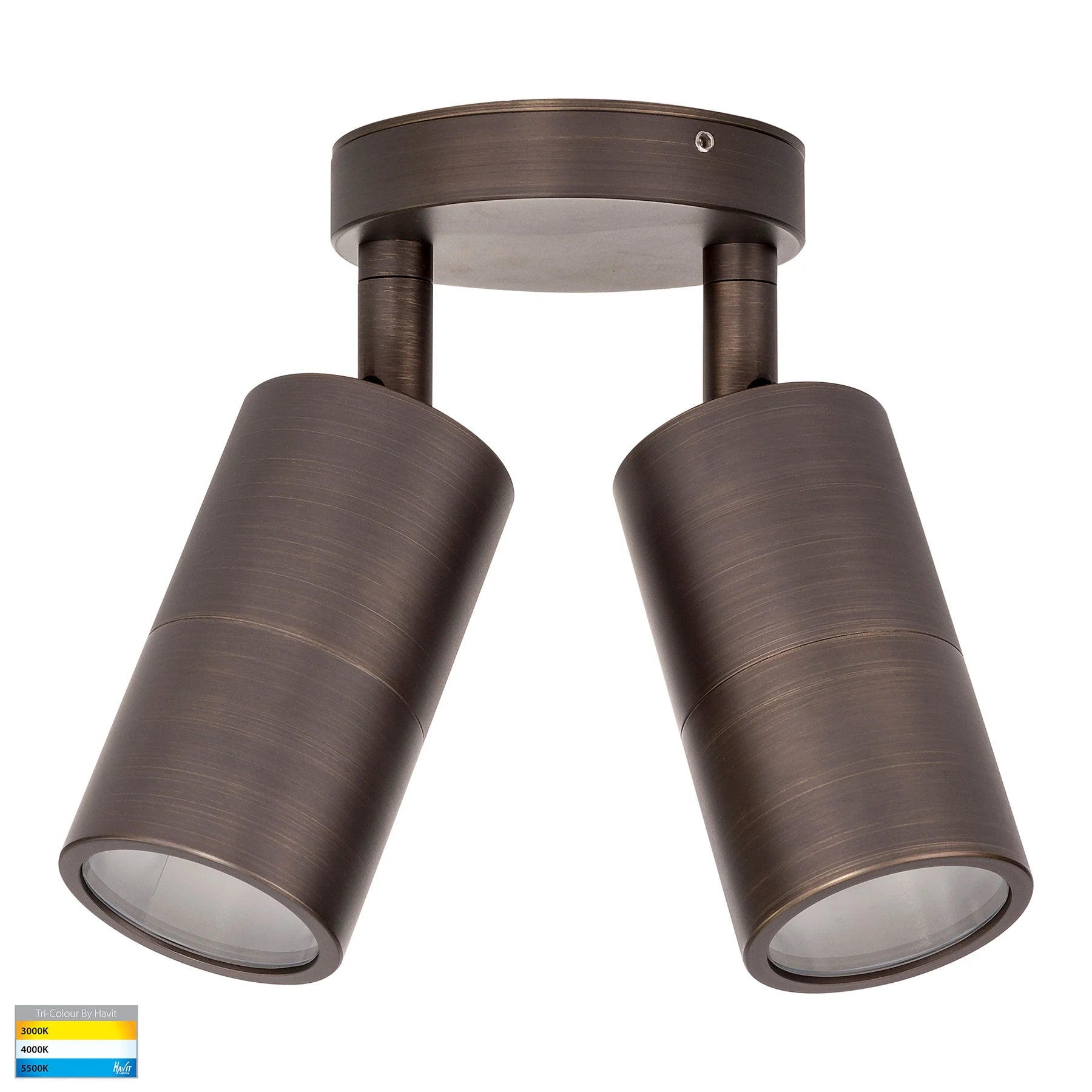 Havit Tivah Double Adjustable Pillar Exterior Wall Lights Tri - Antique Brass 2x3/5/7W / 2x5W 12V/240V IP65 - HV1395T-HV1397T