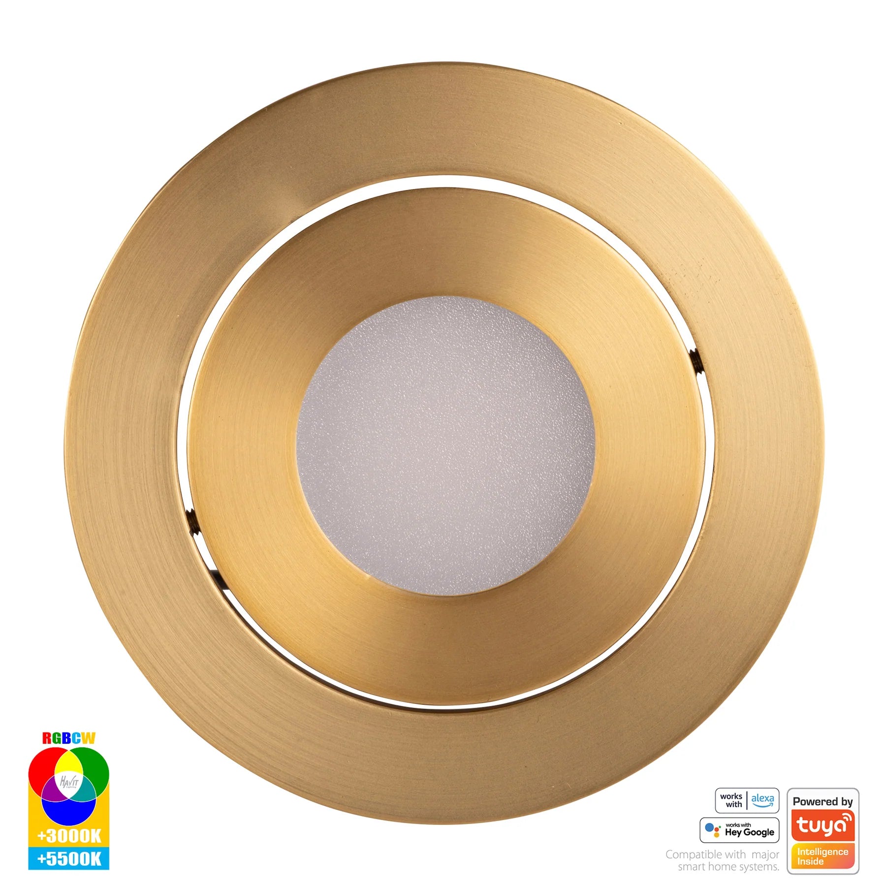 Havit Prime Tilt WIFI LED Downlights RGBCW Brass 12W 240V IP54- HV5512RGBCW-BR