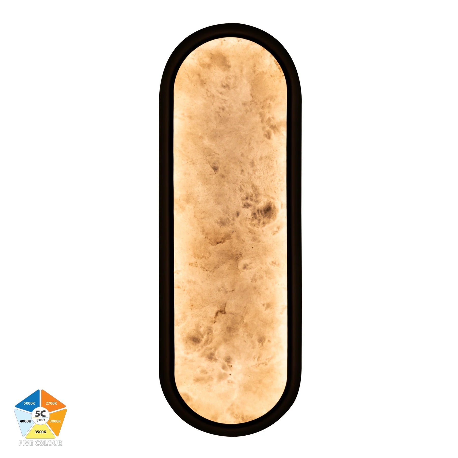 Havit Auster Alabaster Glass Interior Wall Lights 5CCT Black 12W  240V IP44- HV8011S-BLKALB