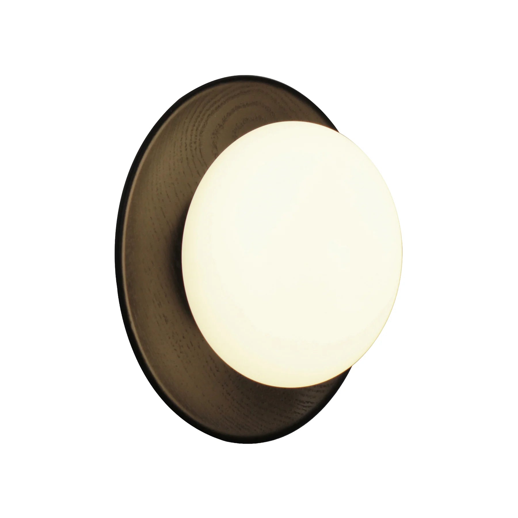 Havit Holz Interior Wall Lights 3000K Ashwood Stained Black Timber 3W 240V IP20- HV8302W-BLK