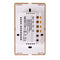 Havit Wifi 2 Gang with Gold Trim Wall Switch Clipsal White 2x300W 240V IP20 - HV9120-2- Havit Lighting