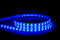 HV9751-IP54-60-RGBW- RGB + LED strip 3000K (RGBW) 14.4W 12V DC IP54 Sold per metre and 10 metre roll- Havit Lighting