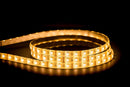 HV9751-IP54-60-RGBW- RGB + LED strip 3000K (RGBW) 14.4W 12V DC IP54 Sold per metre and 10 metre roll- Havit Lighting