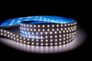 Havit LED Strip 5500K 32.6W 24V IP20 - HV9783-IP20-168-5K Sold per metre and 20 metre roll - Havit Lighting