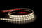 HV9783-IP67-60-5K- LED Strip 5500K 14.4W 12V DC IP67 Sold per metre and 10 metre roll- Havit Lighting