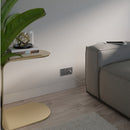 Clipsal Double Switch Power Point, Clipsal Solis T Series, with USB C Charger, Horizontal Mount Platinum 230V-240V- 1025USBC-PT