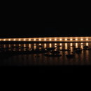 Domus PLEX-SMD-5-IP66 LED Strip 3000K 4000K 5000K 5W 24V IP66- 24210, 24211, 24212