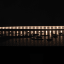 Domus PLEX-SMD-5-IP66 LED Strip 3000K 4000K 5000K 5W 24V IP66- 24210, 24211, 24212