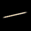 Azoogi 4mm LED Strip 3000K 4000K 6000K 9.6W 24V IP20 - STR064FC, STR065, STR066 Sold per metre