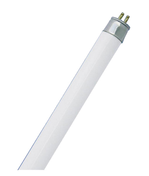 CLA T5 Tube Fluorescent Lamps and Globes 3000K 5000K - CLAT514WWW, CLAT514WNW - CLA Lighting