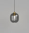 Parlour Curve Pendant Light Clear/ Smoked/ White| Old Brass/ Iron Fixture- Lighting Republic