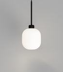 Lighting Republic Parlour Lite Curve Interior Pendant White / Clear / Smoke - LR.i02.26. + LR.A01.006. - Lighting Republic