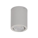 Domus Neo-10 Round Surface Mount Tiltable Dimmable LED Downlight Tri - White 10W 240V IP20 - 21298 - Domus Lighting