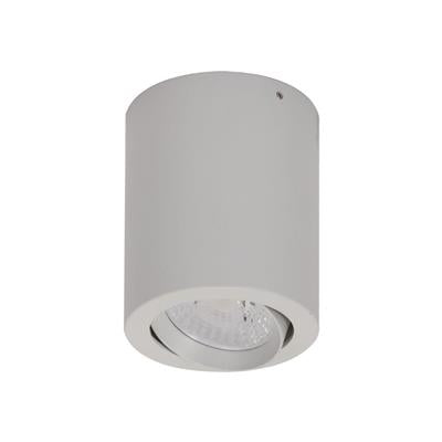 Domus Neo-10 Round Surface Mount Tiltable Dimmable LED Downlight Tri - White 10W 240V IP20 - 21298 - Domus Lighting