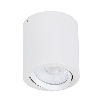 Domus Neo-20 Round Surface Mount Tiltable Dimmable LED Downlight Tri - White 20W 240V IP20 - 21297 - Domus Lighting