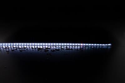 Domus Plex-19.2 LED Strip RGBWW 19.2W 24V IP67 - 20344 - Domus Lighting