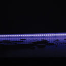 Domus PLEX-RGB+TUNE/WHT LED Strip RGBTW 21W 24V IP67 - 24152 Sold per metre