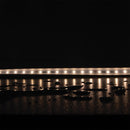 Domus PLEX-SMD LED Strip 3000K 4000K 5000K 5W 24V IP66 - 24207, 24208, 24209 Sold per metre