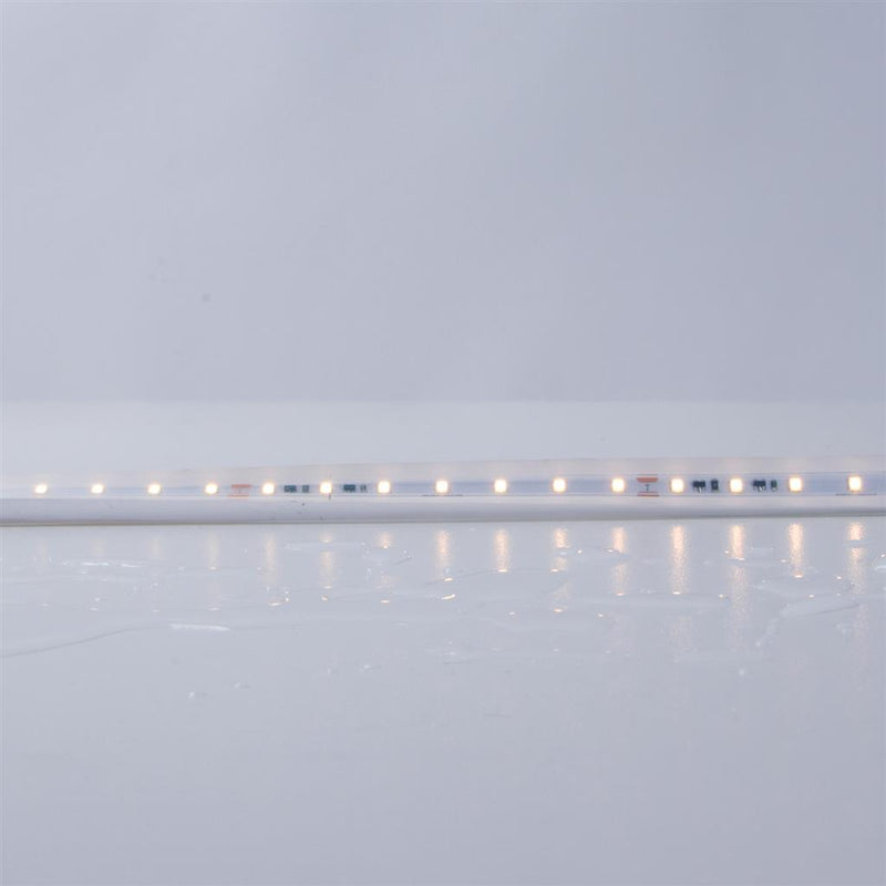 Domus PLEX-SMD LED Strip 3000K 4000K 5000K 5W 24V IP66 - 24207, 24208, 24209 Sold per metre