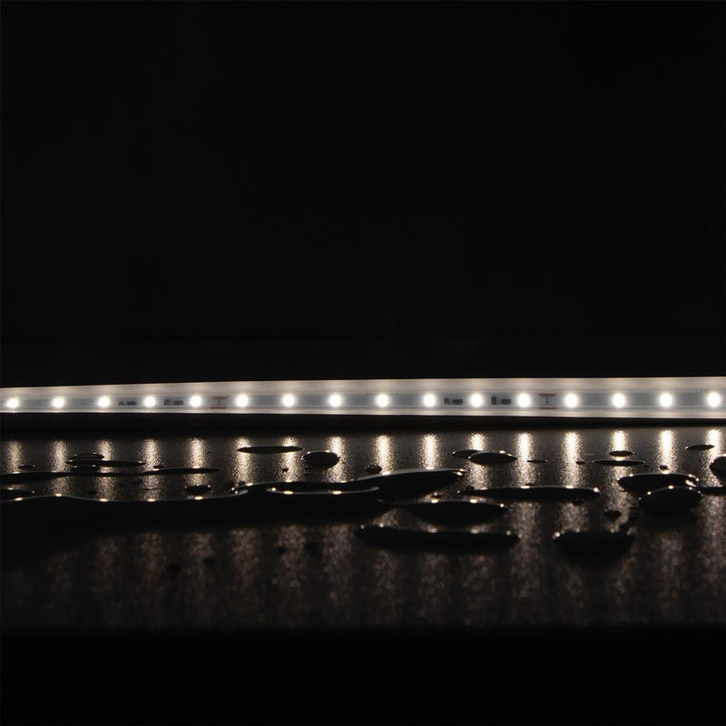 Domus PLEX-SMD LED Strip 3000K 4000K 5000K 5W 24V IP66 - 24207, 24208, 24209 Sold per metre