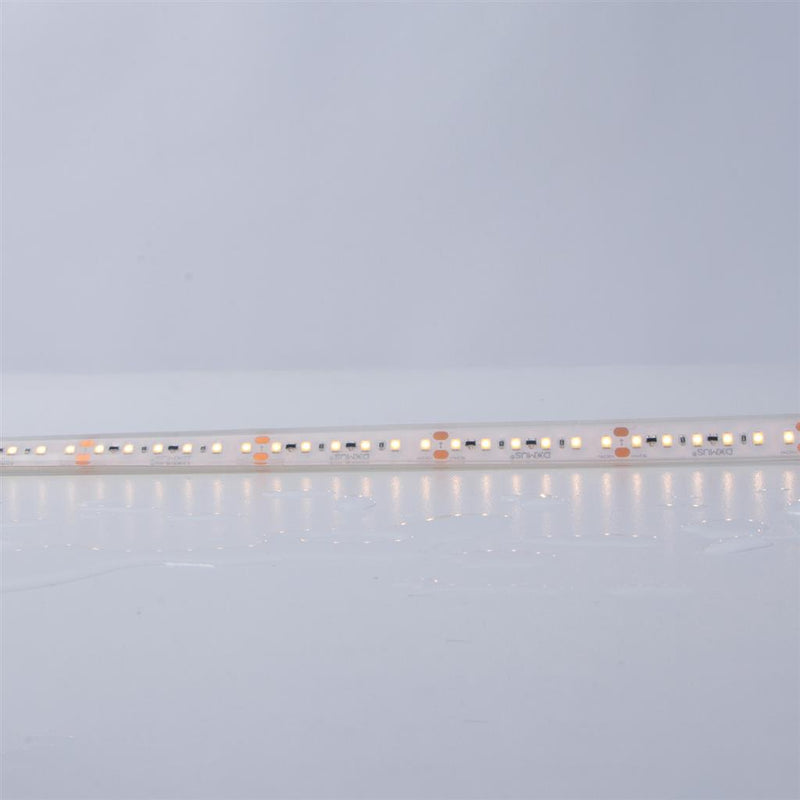 Domus PLEX-SMD LED Strip 3000K 4000K 5000K 9W 24V IP67 - 24199, 24200, 24201 Sold per metre
