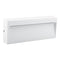 Domus Zeke-8 Rectangular Surface Mounted Garden Step and Up Lights 3000K 5000K White 8W 12V IP65 - 19860, 19861-  Domus Lighting