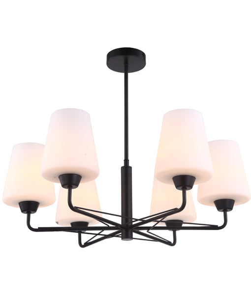 CLA ABBEY: Interior Traditional 6 Lamps Opal Glass Interior Pendant Matt Black / Matt Gold 220-240V - ABBEY1, ABBEY2 -CLA Lighting