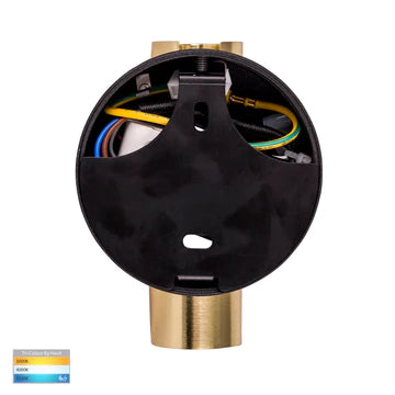 Havit Lesen Single Adjustable Interior Wall Light Tri - Black Brass 5W 240V IP20 - HV3689T-BLKBR-Havit Lighting
